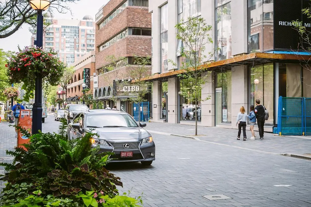 Enchantment In Yorkville Toronto Canada